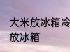 大米放冰箱冷藏可以吗 大米适不适合放冰箱