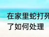 在家里蛇打死了怎么办 在家里蛇打死了如何处理