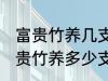 富贵竹养几支最旺运办公室 办公室富贵竹养多少支最旺运