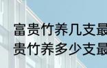 富贵竹养几支最旺运办公室 办公室富贵竹养多少支最旺运