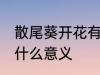 散尾葵开花有什么兆头 散尾葵开花有什么意义