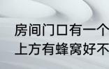 房间门口有一个蜂窝是什么兆头 门口上方有蜂窝好不好