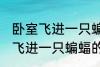 卧室飞进一只蝙蝠有什么兆头吗 卧室飞进一只蝙蝠的兆头