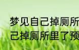 梦见自己掉厕所里了怎么回事 梦见自己掉厕所里了预兆什么