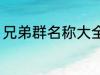 兄弟群名称大全 好听霸道兄弟群名称