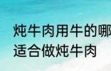 炖牛肉用牛的哪个部分 哪个位置的肉适合做炖牛肉