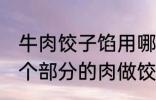 牛肉饺子馅用哪个部位的牛肉 牛的那个部分的肉做饺子馅比较好吃