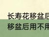 长寿花移盆后需要立刻浇水吗 长寿花移盆后用不用马上浇水