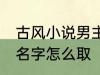 古风小说男主角名字 古风小说男主角名字怎么取