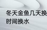 冬天金鱼几天换一次水 冬天金鱼多长时间换水