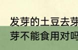 发芽的土豆去芽能吃吗 发芽的土豆去芽不能食用对吗