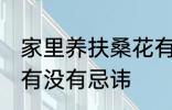 家里养扶桑花有忌讳吗 家里养扶桑花有没有忌讳