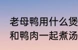 老母鸭用什么煲汤最好 哪些食物可以和鸭肉一起煮汤