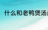 什么和老鸭煲汤最好 老鸭煲汤做法