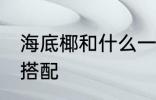 海底椰和什么一起煲汤好 海底椰煲汤搭配