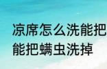 凉席怎么洗能把螨虫洗掉 凉席如何洗能把螨虫洗掉