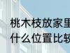 桃木枝放家里什么位置 桃木枝放家里什么位置比较好